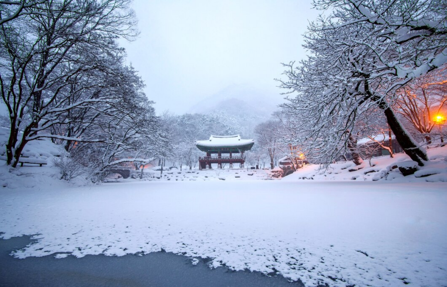 Winter: Snowscapes and Onsen Retreats - Experience the Seasons of Japan (December - February)