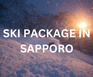 Ski package